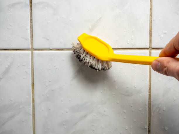 Best Residential Mold Removal  in Sunnyslope, WA